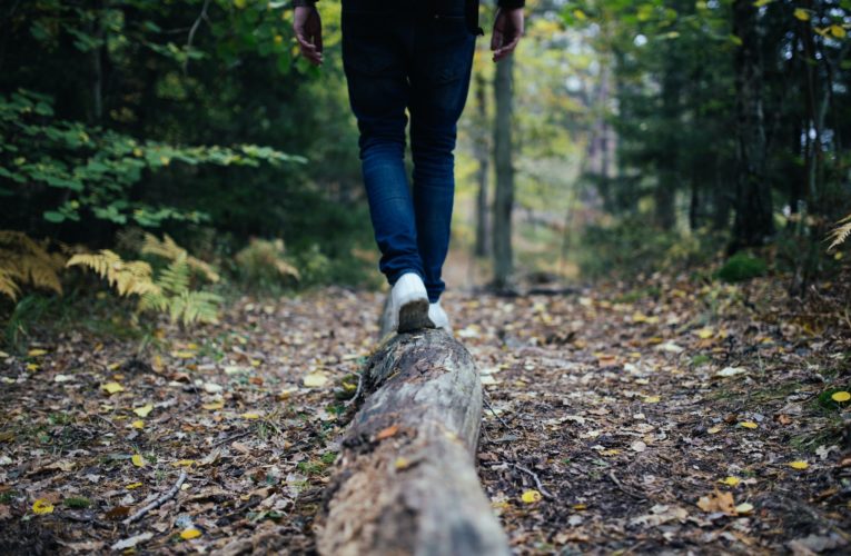 Tips for Balancing your Hormones Naturally  in Allen